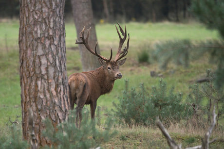 Ik ga weer verder....ga je mee?