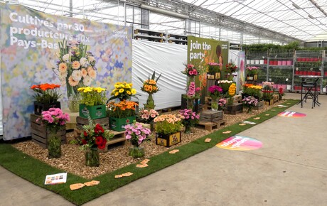 P1300732 KOM IN DE KAS nr7 Bloemen opstelling 11 april 2026