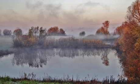 Nevelig landschap in de uiterwaarden