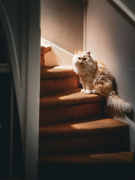 Licht door het zolderraam