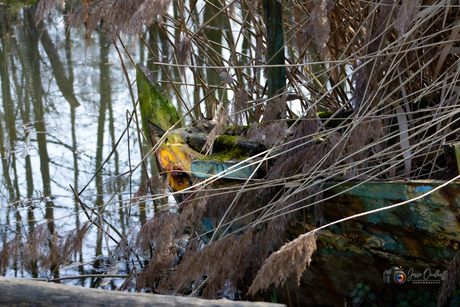 Boot vol herinneringen