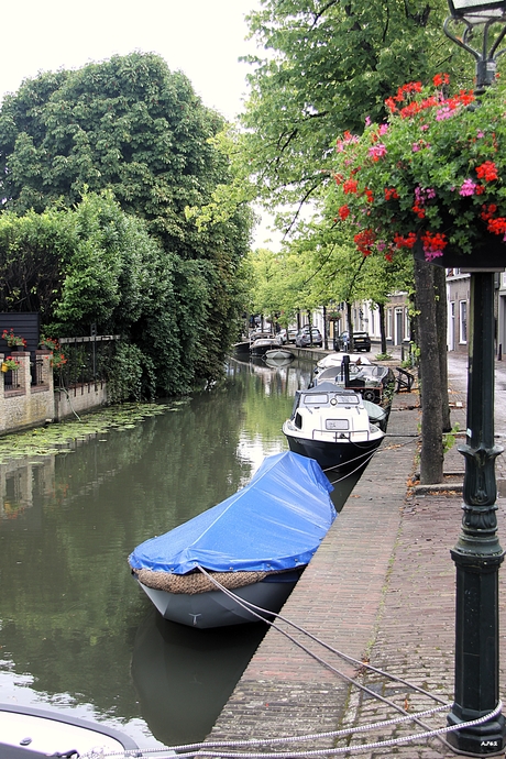 Lantarenpaal aanlijnpunt  