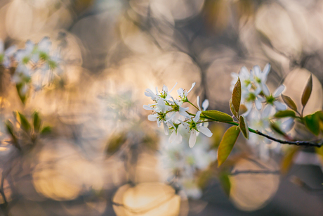 spring colors