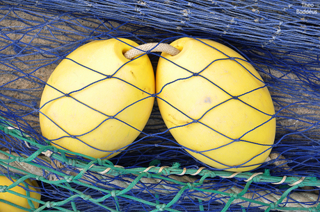 1209225479mw  drijflichamen