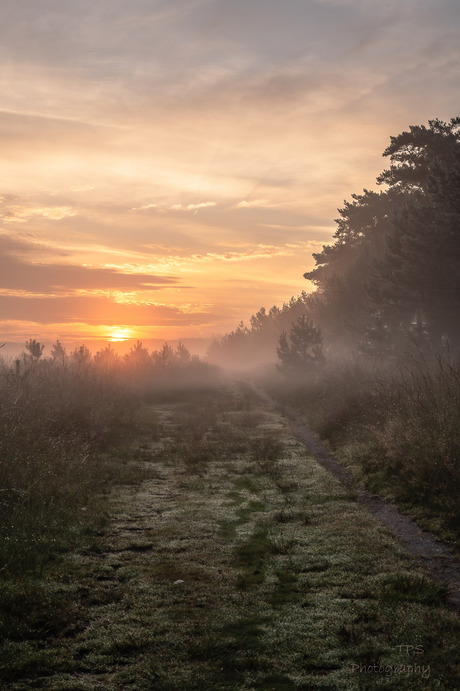 sfeer wandeling