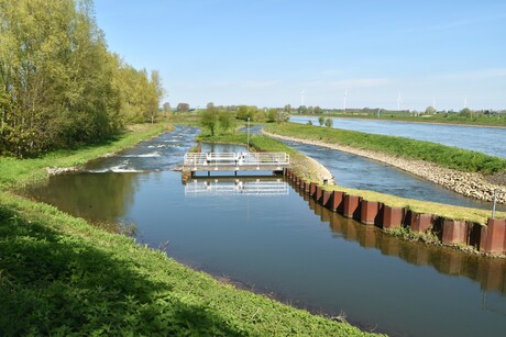 Vis trap bij Hagestein