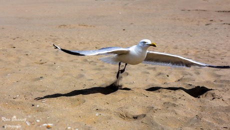 and lift off..