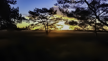 Zonsondergang Bussumerheide