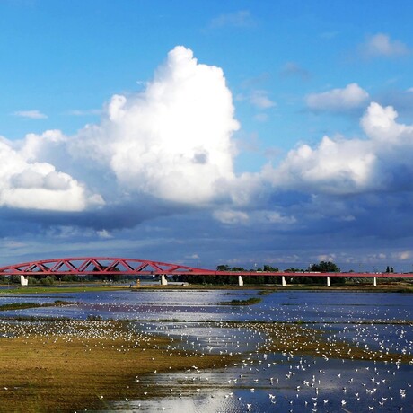 Bij de IJssel