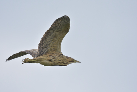 Ben ik goed in beeld?