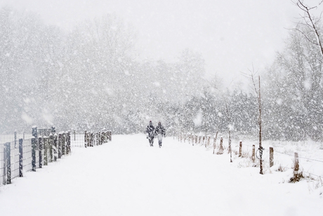Veel sneeuw ik pad niet meer.