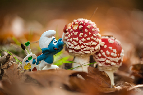 schildersmurf aan het werk