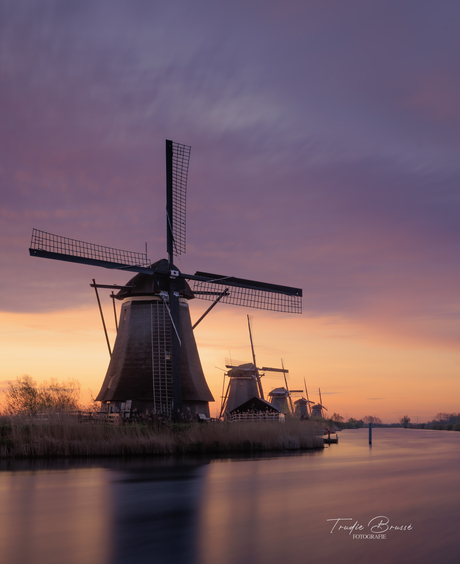 Mooie ochtend in april, Kinderdijk 