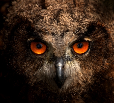 ow those eyes!