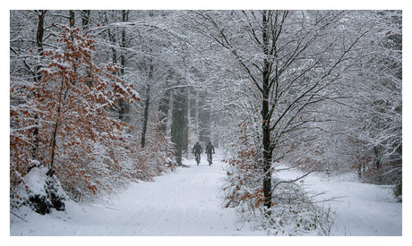 Fietsen op de Vuursche