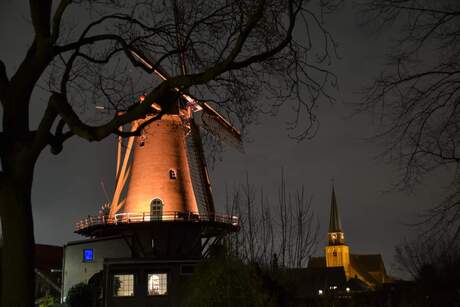 Lichtpunten in deze donkere tijd