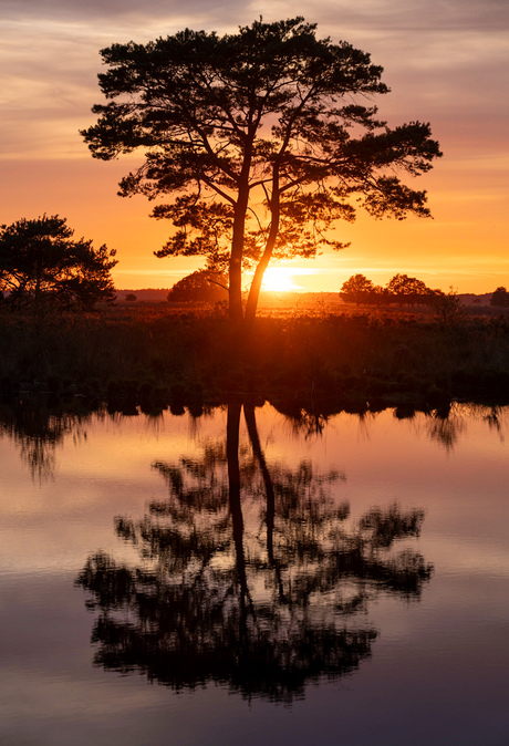 Prachtige zonsondergang Dwingelderveld 