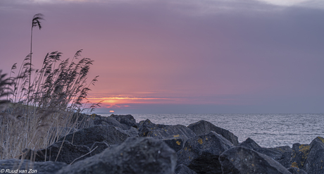 Zonsondergang aan de Oostvaardersdijk