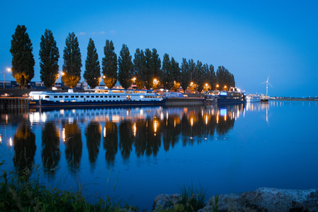 spiegelglad 