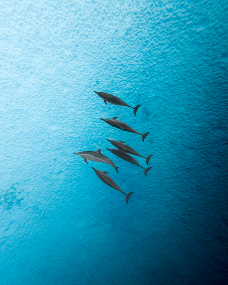 Dare to be different
