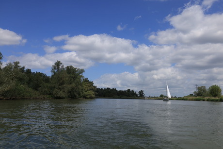 Dagje varen Biesbosch 