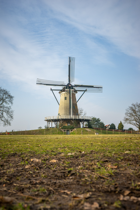 De molen - Soest - 25 januari 2026