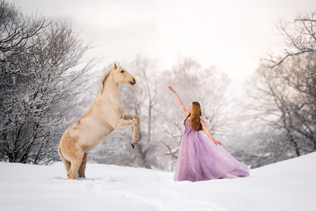 Steigerend Tegen de Stilte van Sneeuw