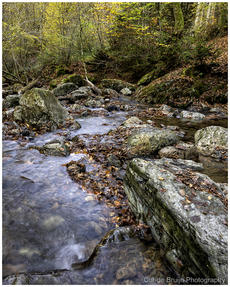 Herfstschatten