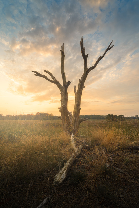 Zonsondergang op de Landschotse Heide