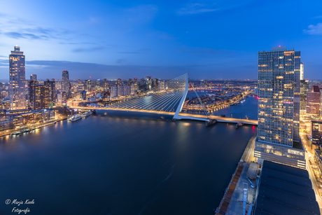Blauwe uurtje in Rotterdam