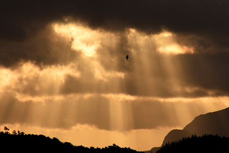 Op weg tussen licht en duisternis