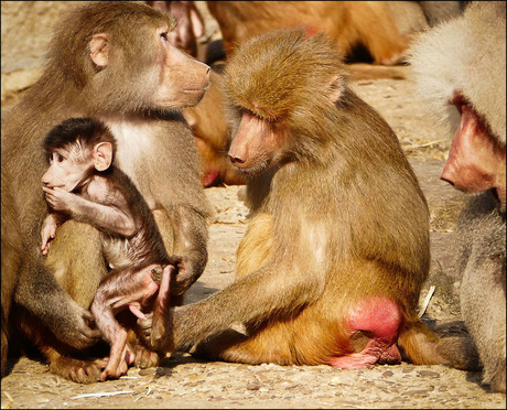 o wee, betrapt!......................................