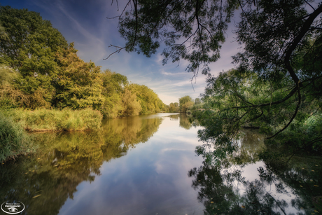 Silence in nature