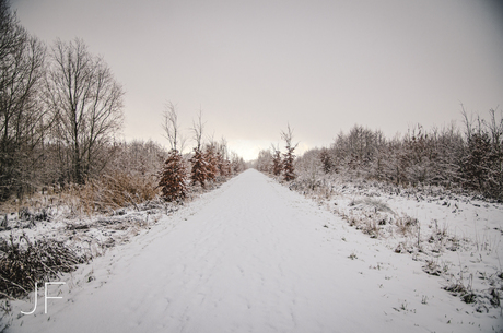 Sneeuw in Develbos