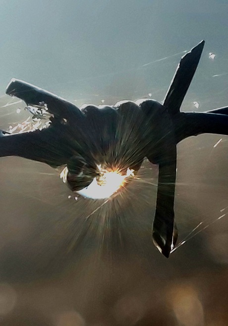 Prikkeldraad  met condens druppel