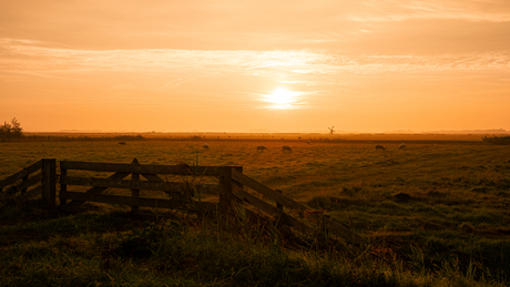 Texel afgelopen zomer