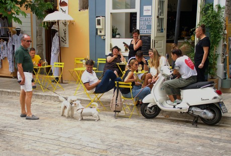 vakantie ook voor de huisdieren