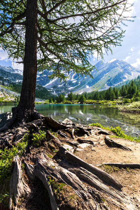 Lac d'Arpy - Valle d'Aosta