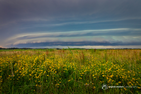 Storm's Edge...