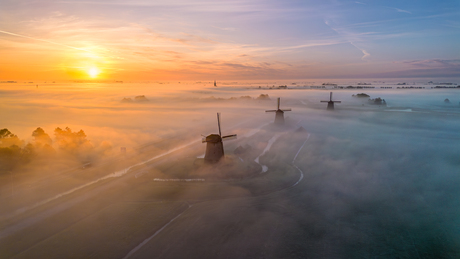 Schermerhorn Mist