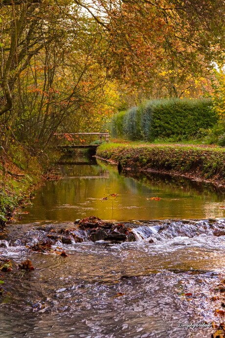 Herfst op zijn mooist