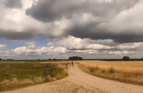 Wandelen