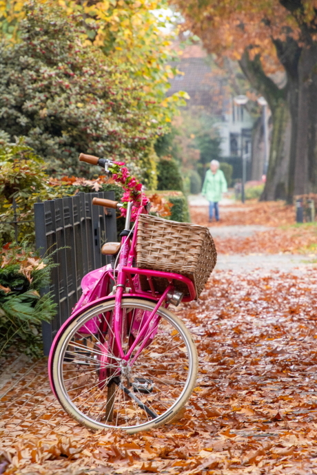 Een kleurrijk geheel 