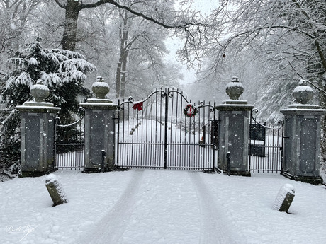 Betoverend Winterlandschap bij de Poort