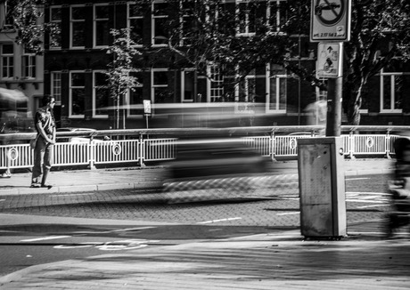 Den Bosch in beweging