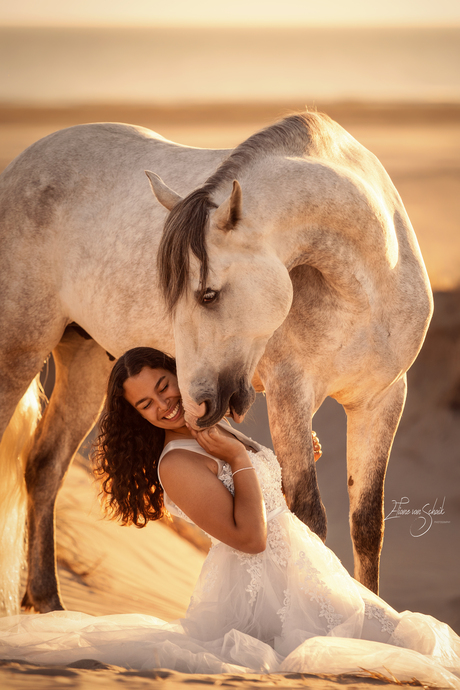 romantische paardenfotografie 