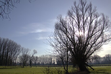 Zonnige Winterwandeling