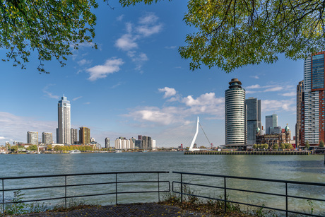 Erasmusbrug en de kop van Zuid
