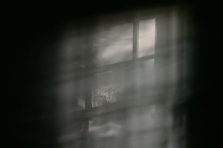 Zonder licht geen schaduw