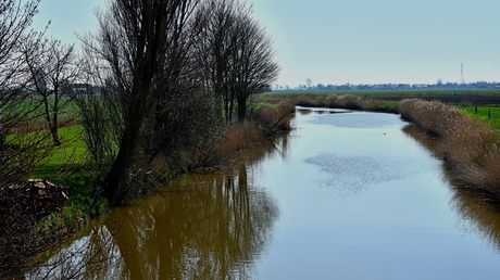 Nieuwpoortse Polders